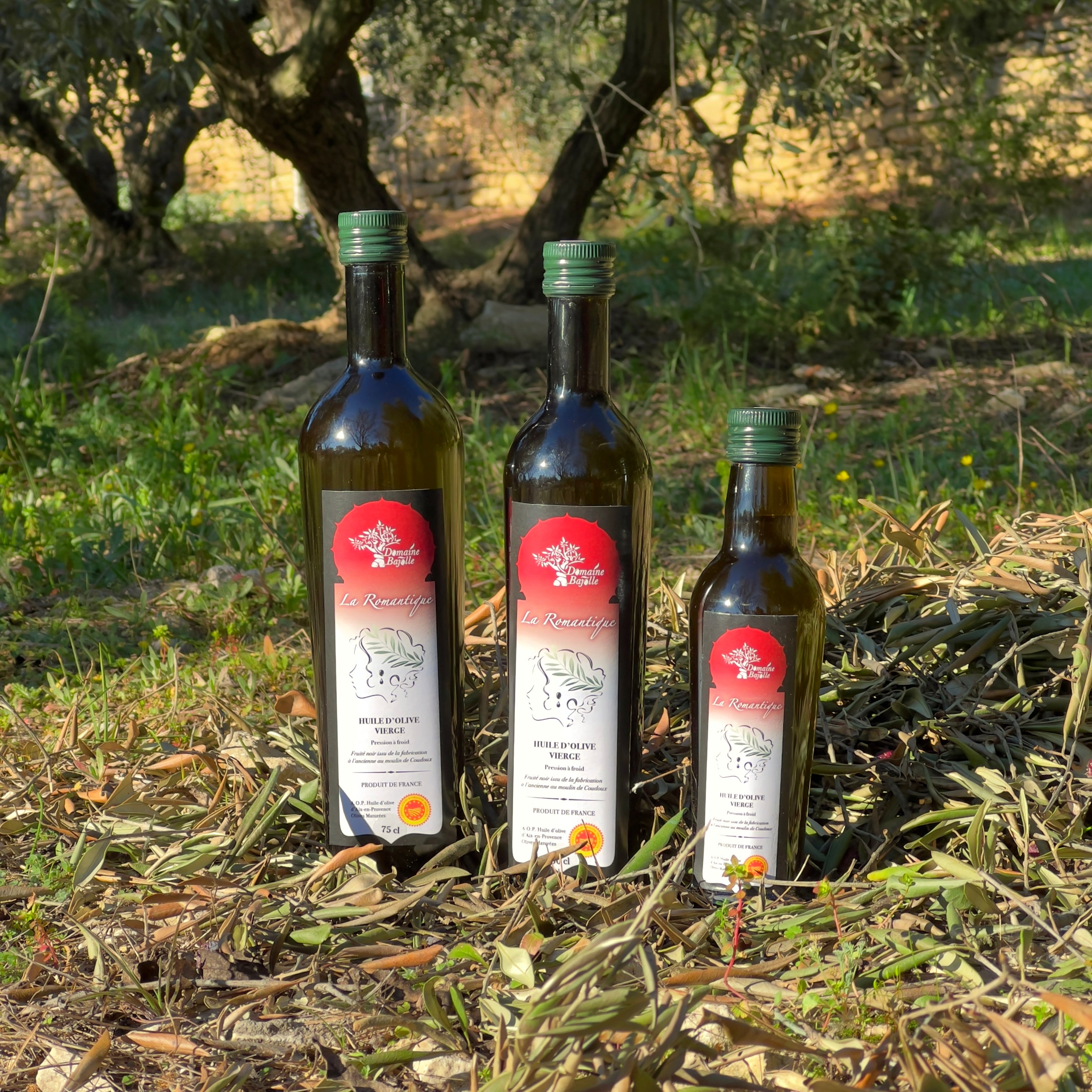 Huile d’olive - Fruité à l'ancienne 1L